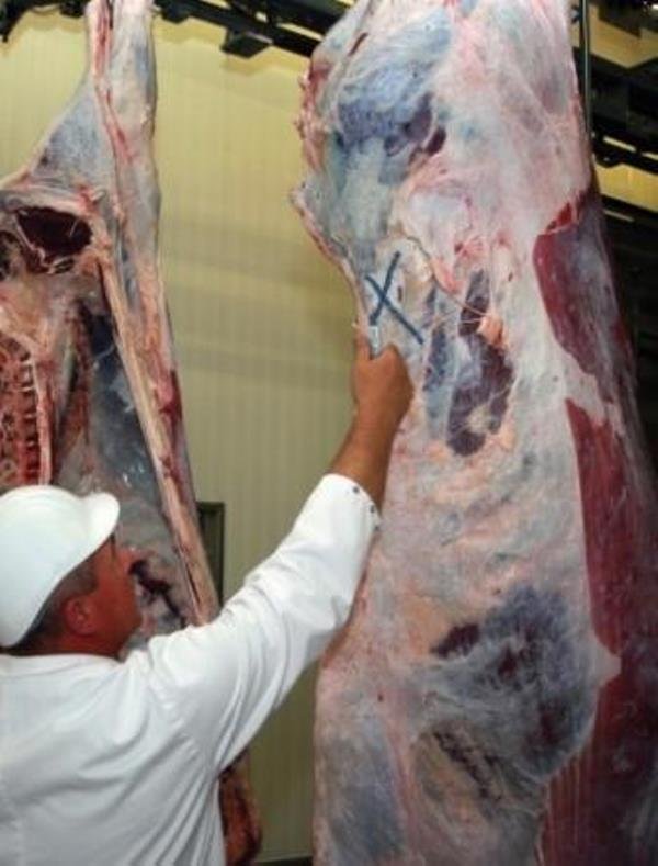 FOTO MARCADOR PARA CARNE AZUL